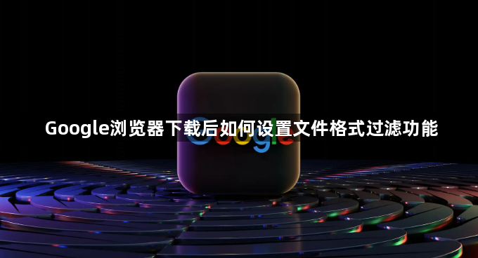 Google浏览器下载后如何设置文件格式过滤功能1