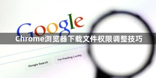 Chrome浏览器下载文件权限调整技巧1