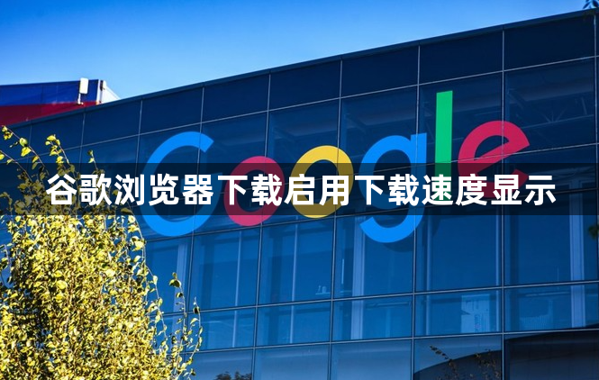 谷歌浏览器下载启用下载速度显示1