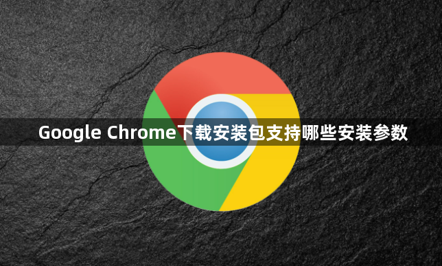 Google Chrome下载安装包支持哪些安装参数1