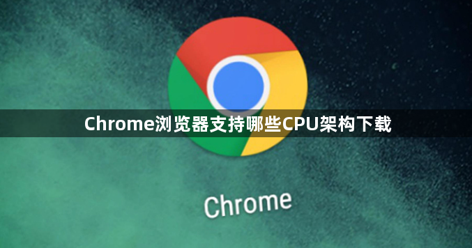 Chrome浏览器支持哪些CPU架构下载1