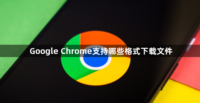 Google Chrome支持哪些格式下载文件1