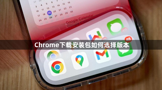 Chrome下载安装包如何选择版本1