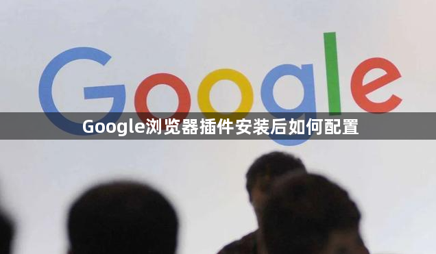 Google浏览器插件安装后如何配置1