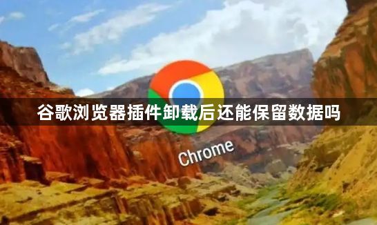 谷歌浏览器插件卸载后还能保留数据吗1
