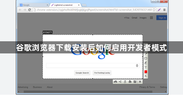 谷歌浏览器下载安装后如何启用开发者模式1