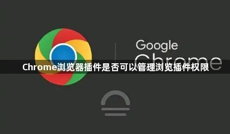 Chrome浏览器插件是否可以管理浏览插件权限1
