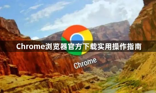 Chrome浏览器官方下载实用操作指南1