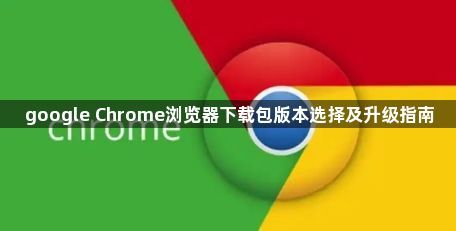 google Chrome浏览器下载包版本选择及升级指南1