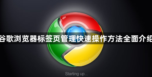 谷歌浏览器标签页管理快速操作方法全面介绍1