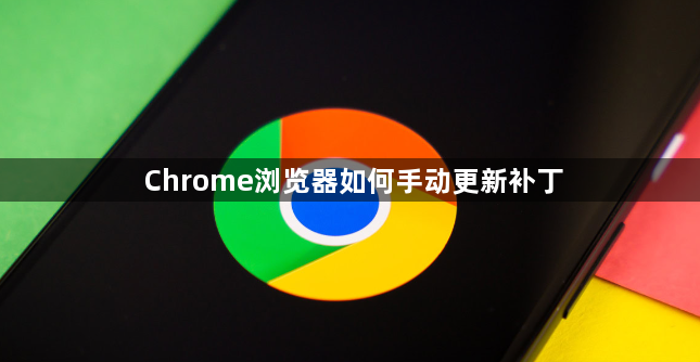 Chrome浏览器如何手动更新补丁1