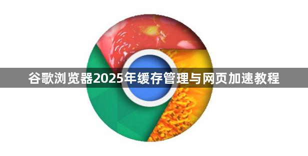 谷歌浏览器2025年缓存管理与网页加速教程1