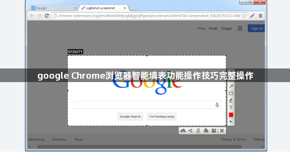 google Chrome浏览器智能填表功能操作技巧完整操作1
