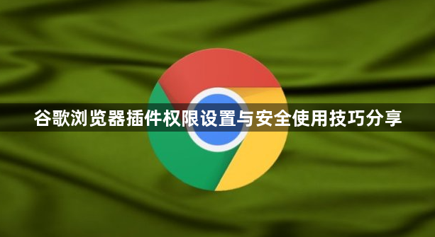 谷歌浏览器插件权限设置与安全使用技巧分享1