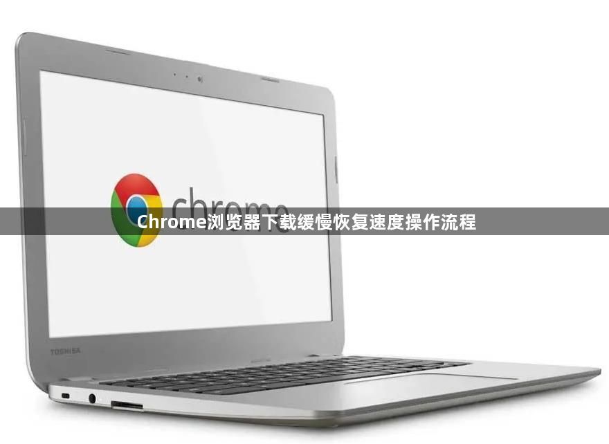 Chrome浏览器下载缓慢恢复速度操作流程1