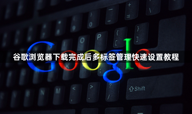 谷歌浏览器下载完成后多标签管理快速设置教程1