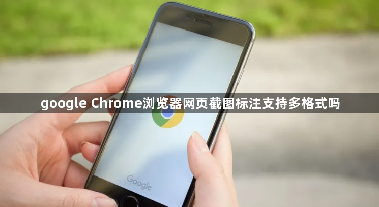 google Chrome浏览器网页截图标注支持多格式吗1
