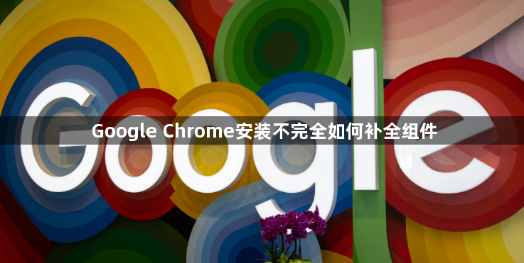 Google Chrome安装不完全如何补全组件1