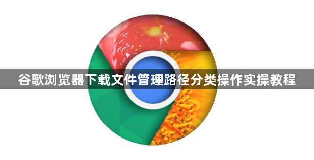 谷歌浏览器下载文件管理路径分类操作实操教程1